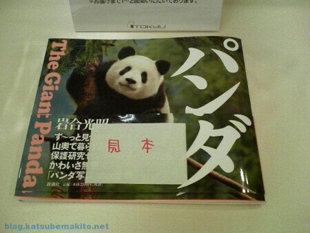 パンダ写真集