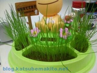 のほほん族 芝生成長後