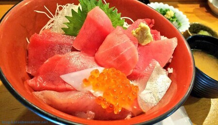 三崎港のマグロ丼