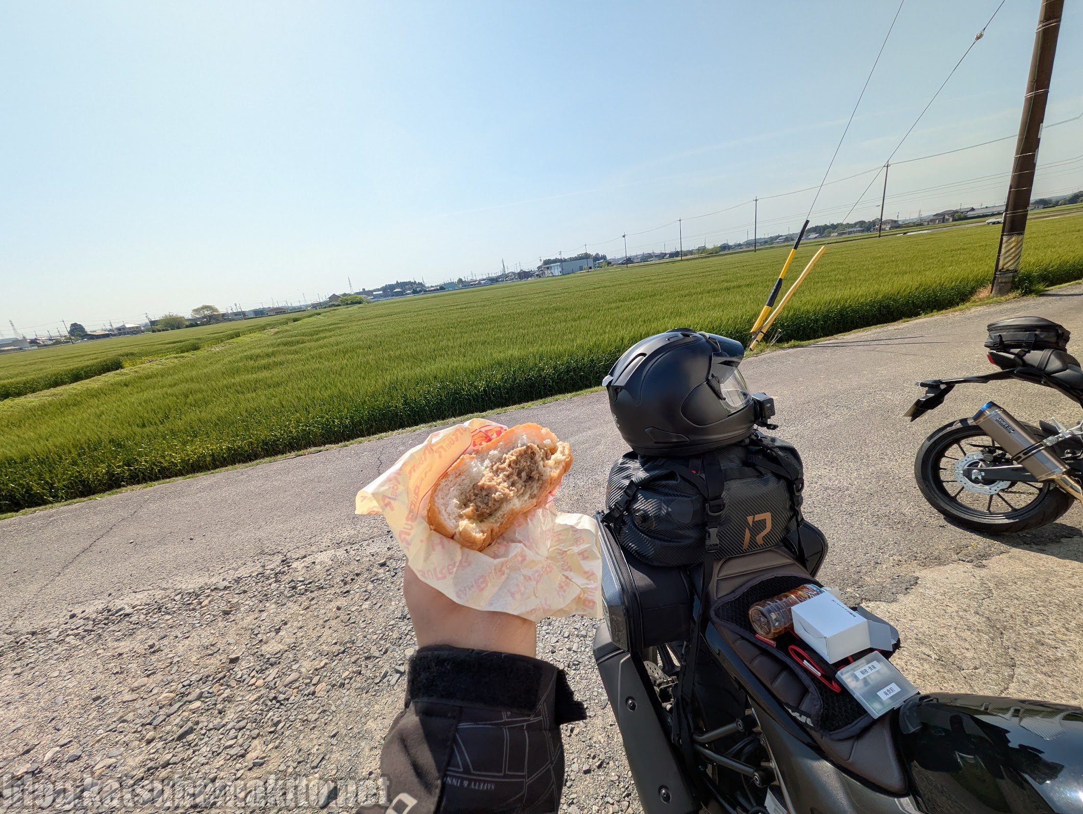 ほづみバーガー自販機の横でムシャムシャ