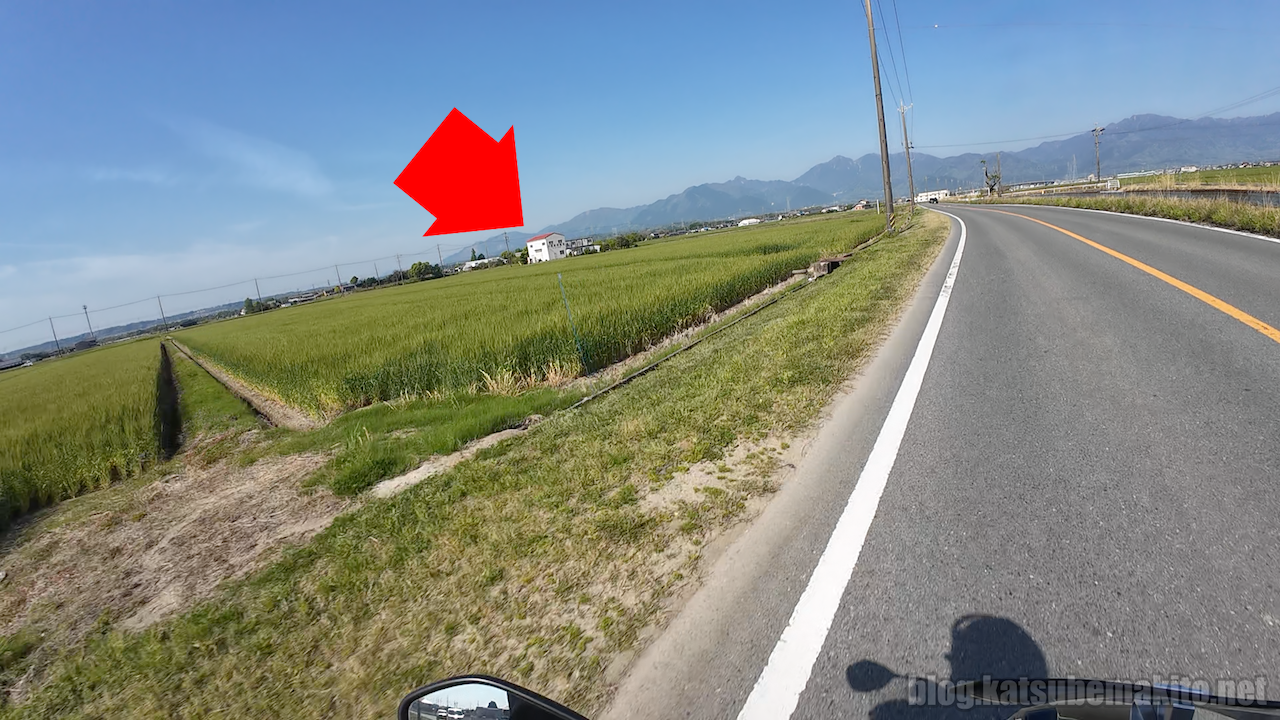ほづみバーガー自販機への道のり1
