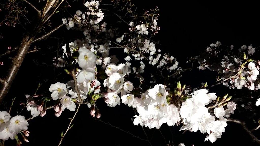 f:id:katsucook:20170405211723j:plain