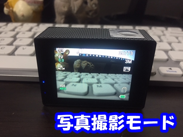 f:id:katsudora:20190721123113j:plain