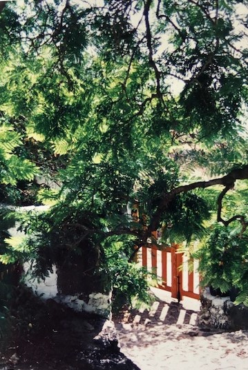 f:id:katsukomj:20200529170958j:plain f:id:katsukomj:20200529170958j:plain