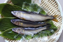 f:id:katsukomj:20200608115130j:plain f:id:katsukomj:20200608115130j:plain