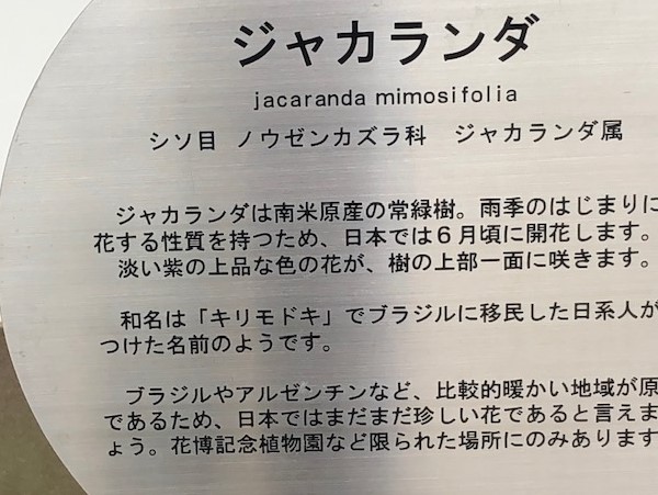 f:id:katsukomj:20200618164527j:plain f:id:katsukomj:20200618164527j:plain