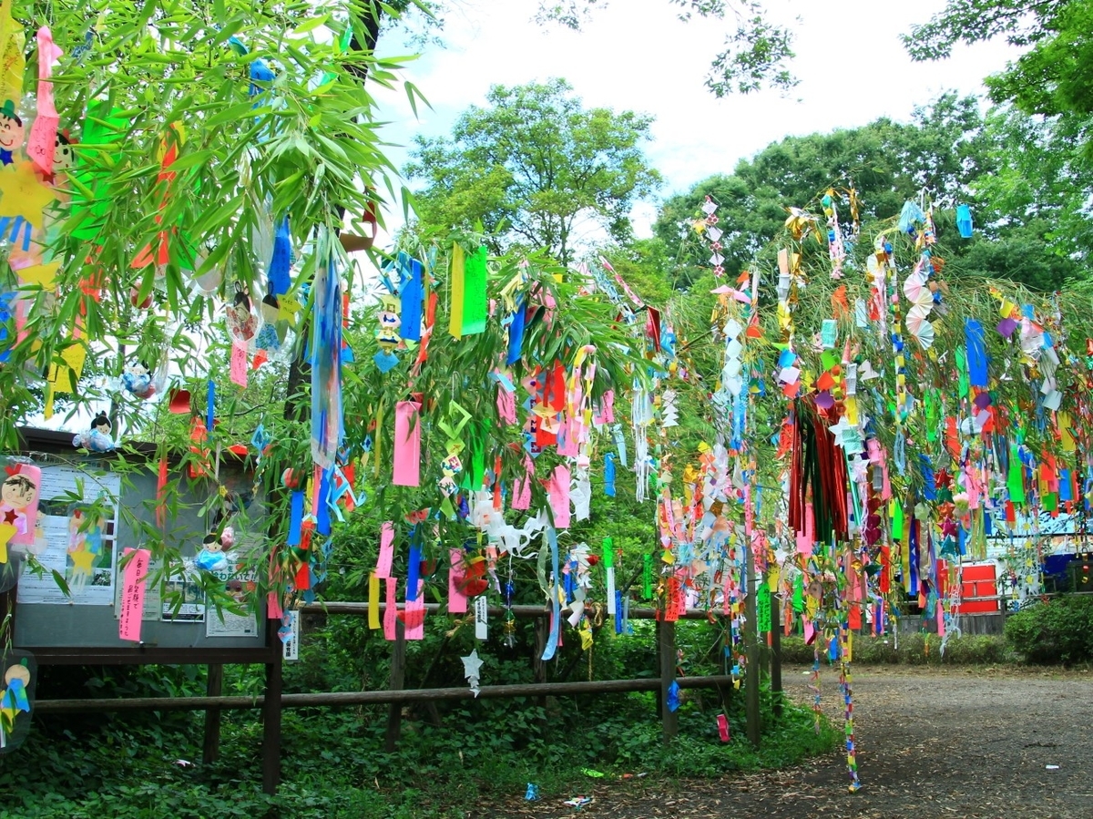 f:id:katsukomj:20200707174507j:plain f:id:katsukomj:20200707174507j:plain