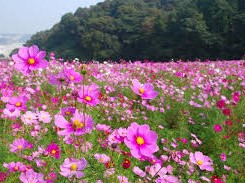 f:id:katsukomj:20201022094103j:plain f:id:katsukomj:20201022094103j:plain