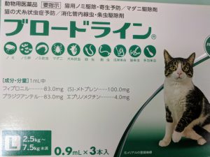 f:id:katsuma-pc:20191210165149j:plain