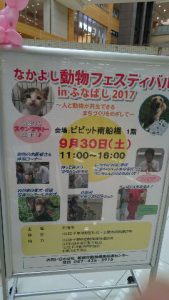 f:id:katsuma-pc:20191210165159j:plain