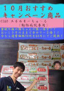 f:id:katsuma-pc:20191210165206j:plain