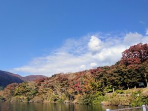 f:id:katsuma-pc:20191210165721j:plain
