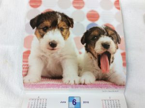 f:id:katsuma-pc:20191210165724j:plain