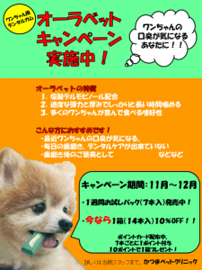 f:id:katsuma-pc:20191210165749p:plain