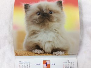 f:id:katsuma-pc:20191210165809j:plain