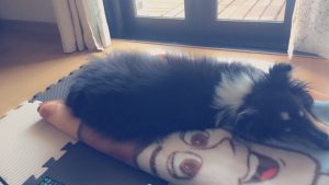 f:id:katsuma-pc:20191210170031j:plain