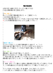 f:id:katsuma-pc:20191210170131p:plain