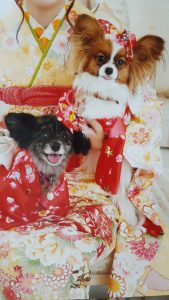 f:id:katsuma-pc:20191210170322j:plain
