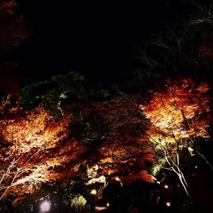 f:id:katsuma-pc:20191210170558j:plain