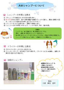 f:id:katsuma-pc:20191210170820p:plain