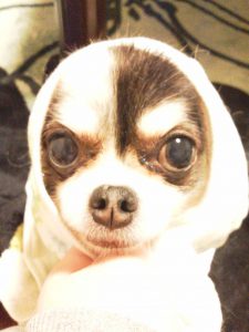 f:id:katsuma-pc:20191210170904j:plain