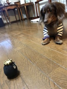 f:id:katsuma-pc:20191210170943j:plain