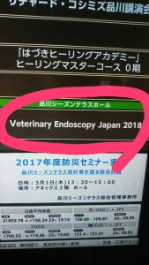 f:id:katsuma-pc:20191210171346j:plain
