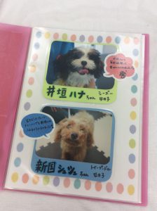 f:id:katsuma-pc:20191210171434j:plain f:id:katsuma-pc:20191210171434j:plain