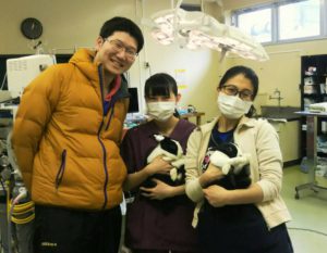 f:id:katsuma-pc:20191210171816j:plain
