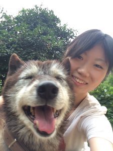 f:id:katsuma-pc:20191210171836j:plain