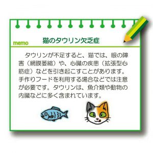f:id:katsuma-pc:20191210172430j:plain