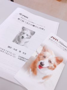 f:id:katsuma-pc:20191210174429j:plain