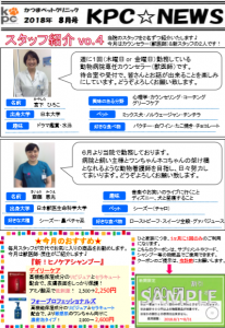 f:id:katsuma-pc:20191210174504p:plain