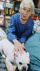 f:id:katsuma-pc:20191210175127j:plain