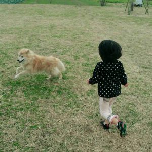 f:id:katsuma-pc:20191210175134j:plain