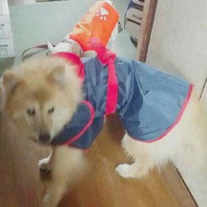 f:id:katsuma-pc:20191210175241j:plain