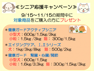 f:id:katsuma-pc:20191210175419p:plain