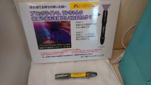 f:id:katsuma-pc:20191210175429j:plain