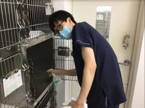 f:id:katsuma-pc:20191210175720p:plain