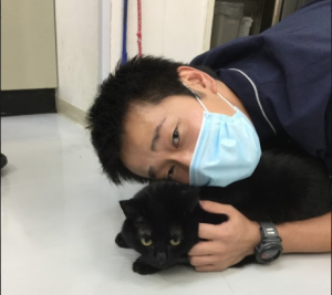 f:id:katsuma-pc:20191210175737p:plain