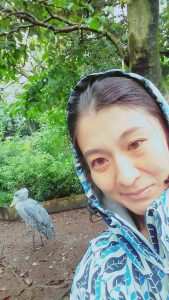 f:id:katsuma-pc:20191210175906j:plain