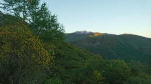 f:id:katsuma-pc:20191210175933j:plain