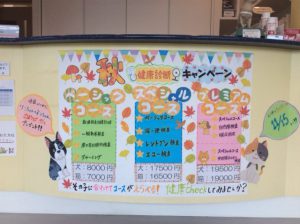 f:id:katsuma-pc:20191210180154:plain
