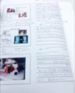 f:id:katsuma-pc:20191210182229j:plain