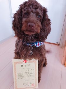 f:id:katsuma-pc:20191210182251j:plain