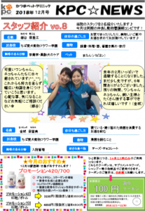 f:id:katsuma-pc:20191210182435p:plain
