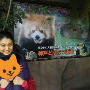 f:id:katsuma-pc:20191210183142j:plain