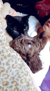 f:id:katsuma-pc:20191210183629j:plain