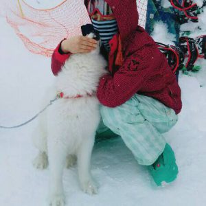 f:id:katsuma-pc:20191210183805j:plain f:id:katsuma-pc:20191210183805j:plain