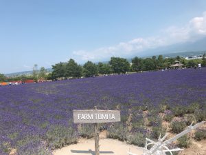 f:id:katsuma-pc:20191210185116j:plain